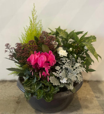 Arrangement de plantes
