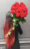 Roses Rouges Longues